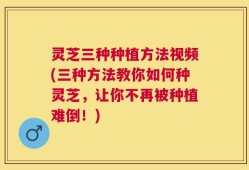 灵芝三种种植方法视频(三种方法教你如何种灵芝，让你不再被种植难倒！)