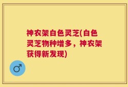 神农架白色灵芝(白色灵芝物种增多，神农架获得新发现)