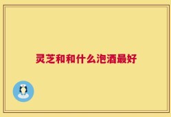 灵芝和和什么泡酒最好
