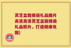 灵芝盆栽提袋礼品图片高清高清灵芝盆栽提袋礼品照片，打造健康氛围)