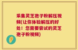 采集灵芝孢子粉解压视频(让你体验解压的好处！您需要尝试的灵芝孢子粉视频)