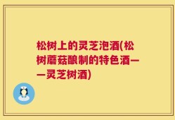 松树上的灵芝泡酒(松树蘑菇酿制的特色酒——灵芝树酒)