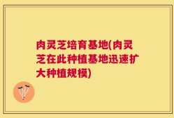 肉灵芝培育基地(肉灵芝在此种植基地迅速扩大种植规模)