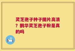 灵芝孢子种子图片高清？鹊华灵芝孢子粉是真的吗