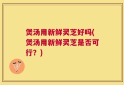 煲汤用新鲜灵芝好吗(煲汤用新鲜灵芝是否可行？)