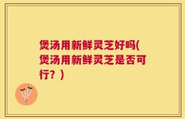 煲汤用新鲜灵芝好吗(煲汤用新鲜灵芝是否可行？)