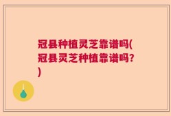 冠县种植灵芝靠谱吗(冠县灵芝种植靠谱吗？)