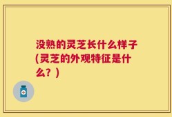 没熟的灵芝长什么样子(灵芝的外观特征是什么？)