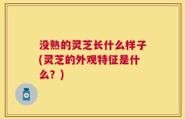 没熟的灵芝长什么样子(灵芝的外观特征是什么？)