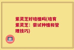 紫灵芝好培植吗(培育紫灵芝：尝试种植和管理技巧)
