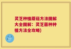 灵芝种植蘑菇方法图解大全图解：灵芝菌种种植方法全攻略)