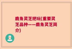 鹿角灵芝把玩(重要灵芝品种——鹿角灵芝简介)
