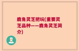 鹿角灵芝把玩(重要灵芝品种——鹿角灵芝简介)