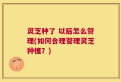 灵芝种了 以后怎么管理(如何合理管理灵芝种植？)