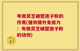 粤微灵芝破壁孢子粉的作用(强效提升免疫力：粤微灵芝破壁孢子粉的功效)