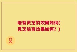 培育灵芝的效果如何(灵芝培育效果如何？)