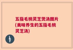 五指毛桃灵芝煲汤图片(美味养生的五指毛桃灵芝汤)