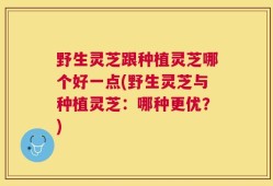 野生灵芝跟种植灵芝哪个好一点(野生灵芝与种植灵芝：哪种更优？)