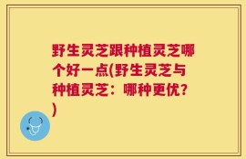 野生灵芝跟种植灵芝哪个好一点(野生灵芝与种植灵芝：哪种更优？)