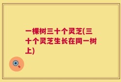 一棵树三十个灵芝(三十个灵芝生长在同一树上)
