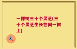 一棵树三十个灵芝(三十个灵芝生长在同一树上)