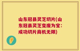 山东冠县灵芝切片(山东冠县灵芝变废为宝：成功切片商机无限)
