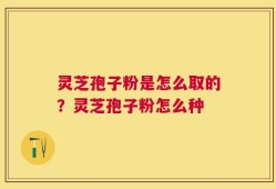 灵芝孢子粉是怎么取的？灵芝孢子粉怎么种