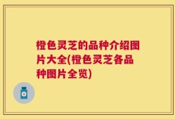 橙色灵芝的品种介绍图片大全(橙色灵芝各品种图片全览)