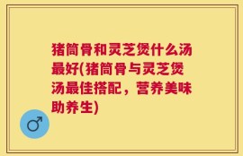 猪筒骨和灵芝煲什么汤最好(猪筒骨与灵芝煲汤最佳搭配，营养美味助养生)
