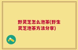 野灵芝怎么泡茶(野生灵芝泡茶方法分享)
