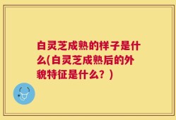 白灵芝成熟的样子是什么(白灵芝成熟后的外貌特征是什么？)
