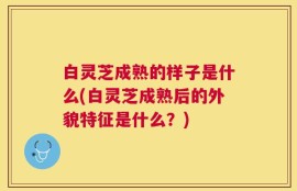 白灵芝成熟的样子是什么(白灵芝成熟后的外貌特征是什么？)