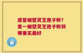 感冒破壁灵芝孢子粉？紫一破壁灵芝孢子粉到哪里买最好