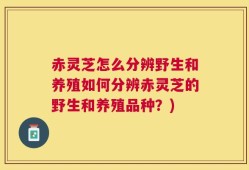 赤灵芝怎么分辨野生和养殖如何分辨赤灵芝的野生和养殖品种？)