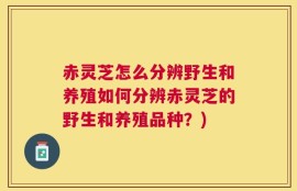 赤灵芝怎么分辨野生和养殖如何分辨赤灵芝的野生和养殖品种？)
