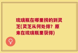 琉璃瓶在哪里捞的到灵芝(灵芝从何处得？原来在琉璃瓶里获得)