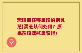 琉璃瓶在哪里捞的到灵芝(灵芝从何处得？原来在琉璃瓶里获得)