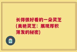 长得很好看的一朵灵芝(美艳灵芝：展现厚积薄发的秘密)