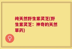 纯天然野生紫灵芝(野生紫灵芝：神奇的天然草药)