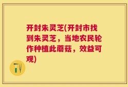 开封朱灵芝(开封市找到朱灵芝，当地农民轮作种植此蘑菇，效益可观)