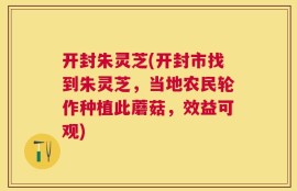 开封朱灵芝(开封市找到朱灵芝，当地农民轮作种植此蘑菇，效益可观)