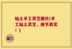 粘土手工灵芝图片(手工粘土灵芝，细节真实！)