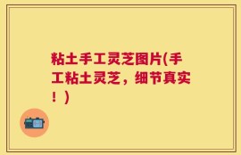 粘土手工灵芝图片(手工粘土灵芝，细节真实！)