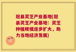 冠县灵芝产业基地(冠县灵芝产业基地：灵芝种植规模逐步扩大，助力当地经济发展)