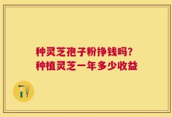 种灵芝孢子粉挣钱吗？种植灵芝一年多少收益
