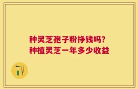 种灵芝孢子粉挣钱吗？种植灵芝一年多少收益