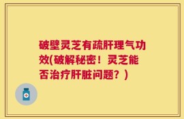 破壁灵芝有疏肝理气功效(破解秘密！灵芝能否治疗肝脏问题？)