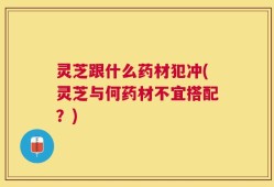 灵芝跟什么药材犯冲(灵芝与何药材不宜搭配？)