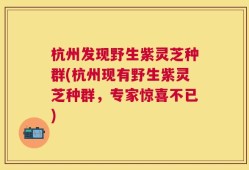 杭州发现野生紫灵芝种群(杭州现有野生紫灵芝种群，专家惊喜不已)