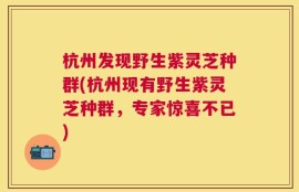 杭州发现野生紫灵芝种群(杭州现有野生紫灵芝种群，专家惊喜不已)